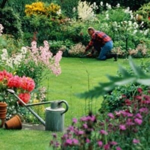 ideen-für-garten-günstig-gestalten-landschaft-pflegen