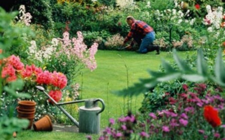 ideen-für-garten-günstig-gestalten-landschaft-pflegen