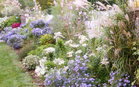 ideen-für-sommer-garten-gestalten-lila-nuancen