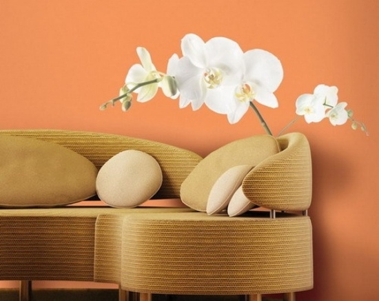 ideen für wandgestaltung im wohnzimmer orchidee weiß