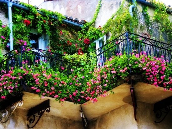 ideen balkonpflanzen auf der terrasse französchischen stil