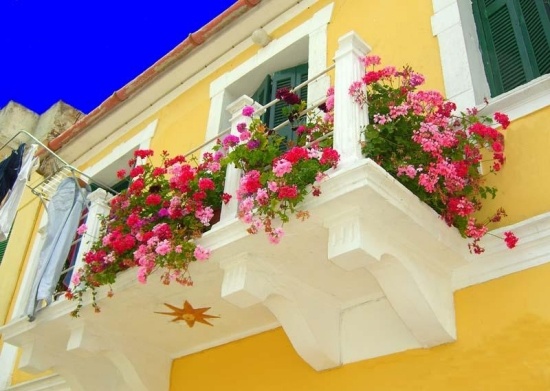 ideen balkonpflanzen auf der terrasse gelbe fassade