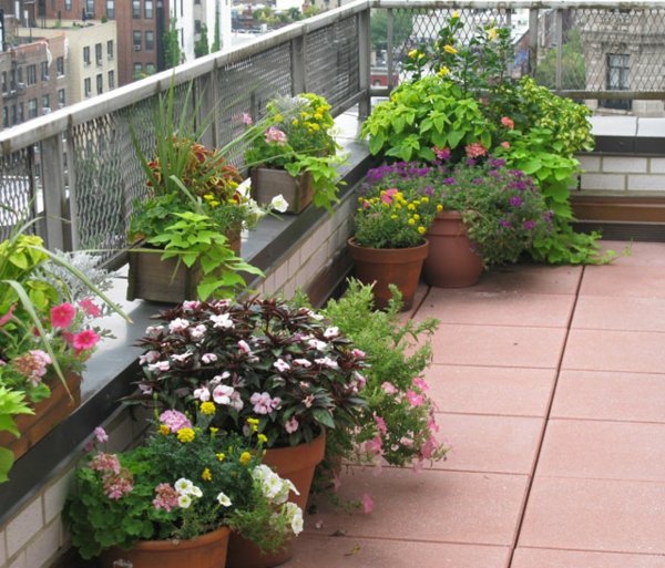 kleiner Balkon Blumenkasten Metall Geländer