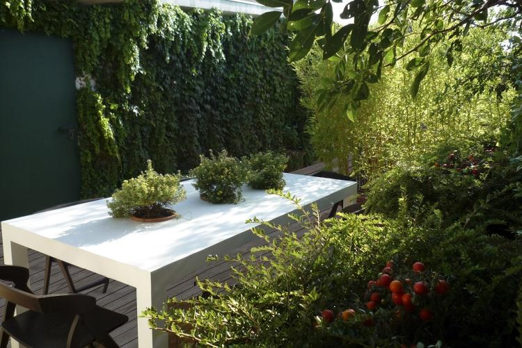 kletterpflanzen-balkon-terrasse-efeu-sichtschutz-pflanzentisch-stuehle