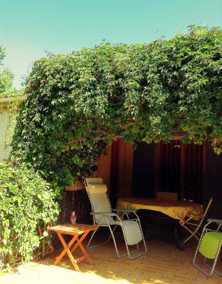 kletterpflanzen-balkon-terrasse-ueberdachung-schatten-liege-stuehle-sommer