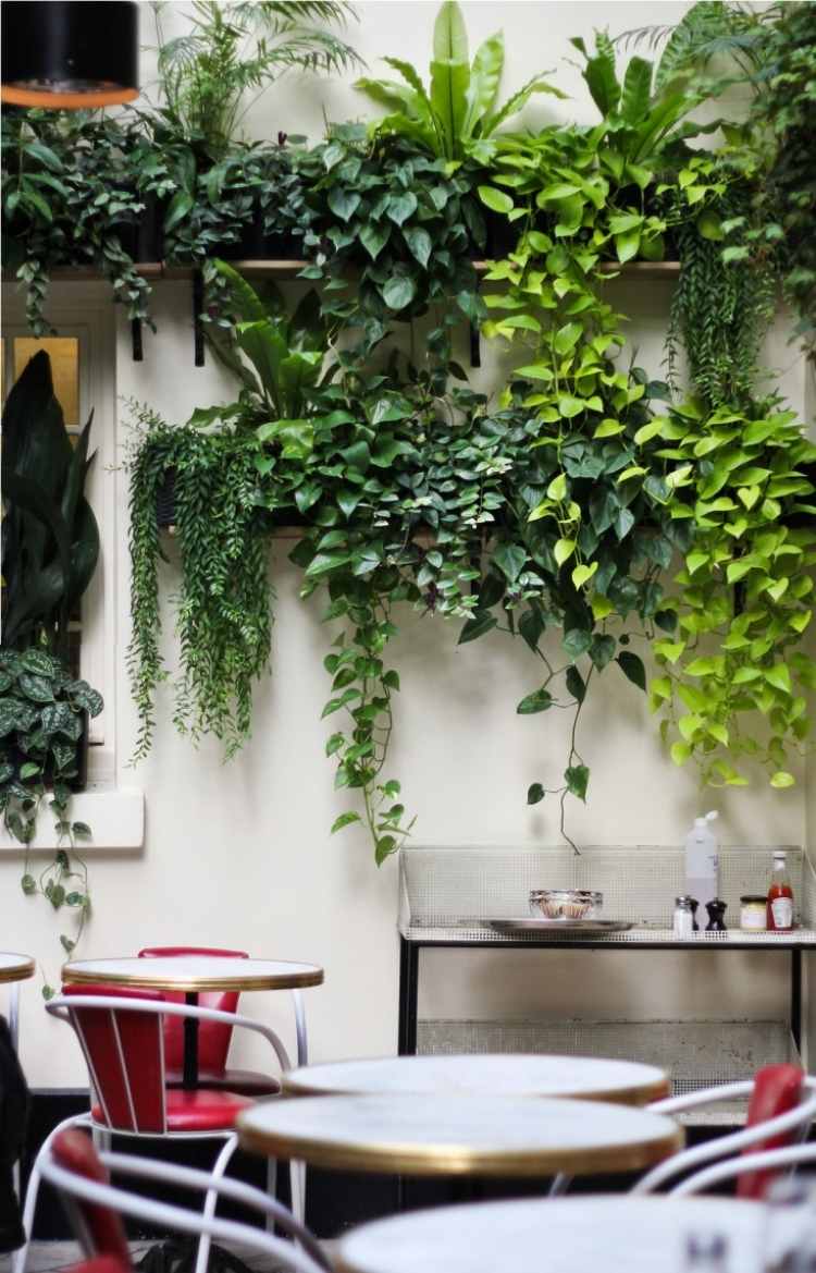 kletterpflanzen-balkon-terrasse-wohnung-stuehle-tische-frisch-gruen