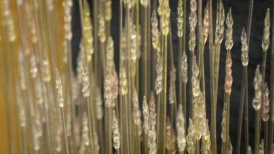kunst installationen aus glas weizen pflanze