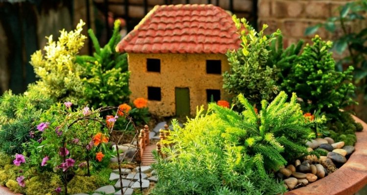miniaturgärten in pflanzkübeln vorgarten idee haeuschen begruenung idee