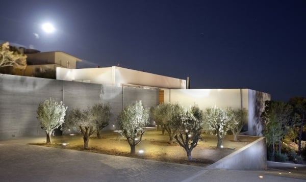 moderne luxus villa mit geometrischen formen olivenbaum garten