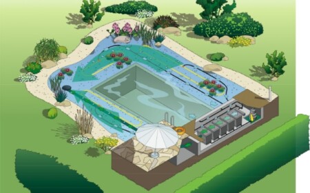 naturpool-schwimmteich-projekt-bau-reinigungsprozesse