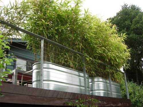 sichtschutz-balkon-bambuspflanzen-metall-blumenkübel