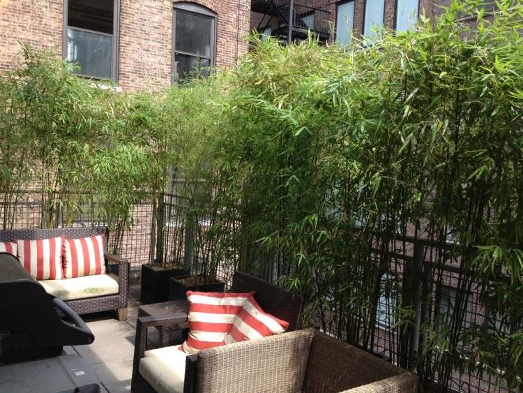 sichtschutz-balkon-bambuspflanzen-stadtwohnung-gartenmoebel-kunststoffrattan-sitzen