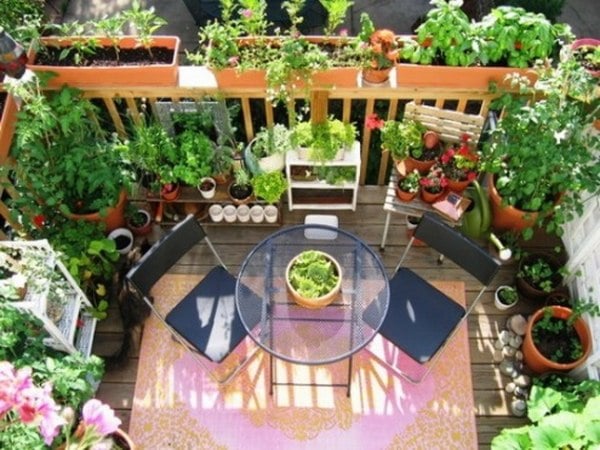 sichtschutz für den balkon grün dichte pflanzen umgeben