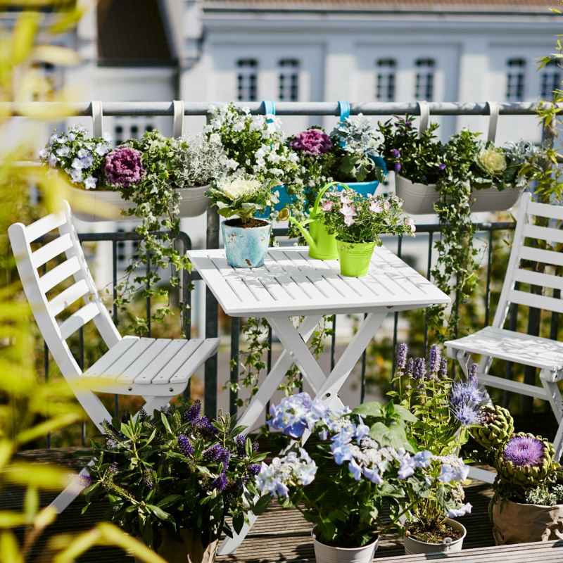 Sichtschutz für den Balkon - Varianten aus Holz, Pflanzen ...
