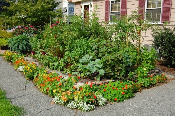 Üppiger Vorgarten-anpflanzen Tipps