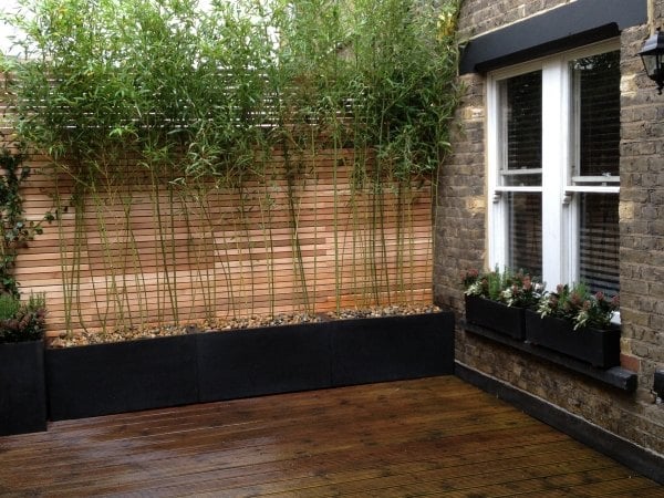 Bambus Sichtschutz Ideen Garten-Terrasse