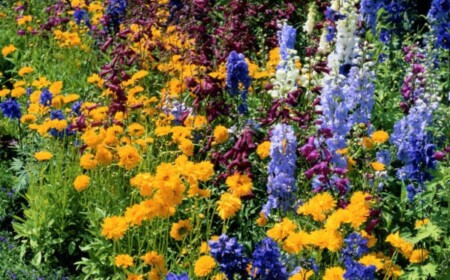 Garten Gestaltung Ideen Frühling Blumen Flieder