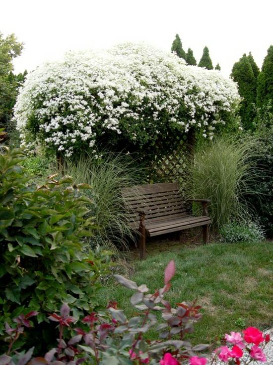 Garten Pergola Heckenpflanzen Design Blumen Sträucher