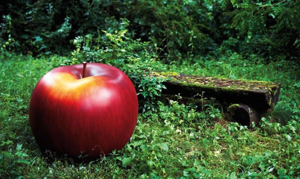 Garten gestalten dekorieren Gartenfiguren Apfel groß