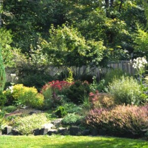 Gartenplanung Ergebnis Gartenarbeit Landschaft schöne Fotos Garten