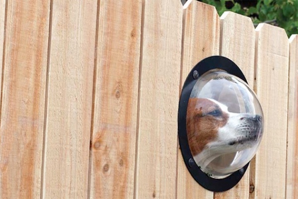 Holzzaun kleines Fenster Gartenideen-Haustiere Hund