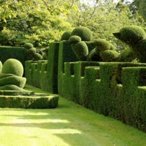 Landschaft Garten Gestaltung Hecke-schneiden Figuren