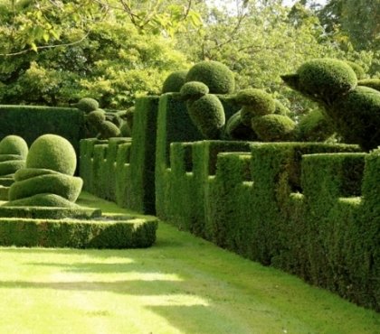 Landschaft Garten Gestaltung Hecke-schneiden Figuren