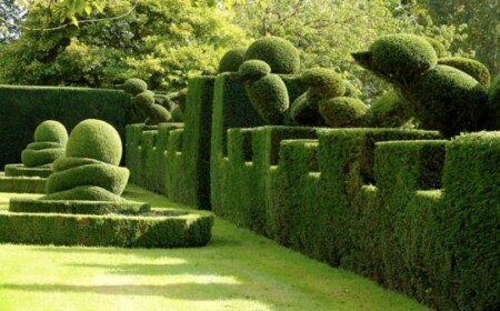 Landschaft Garten Gestaltung Hecke-schneiden Figuren