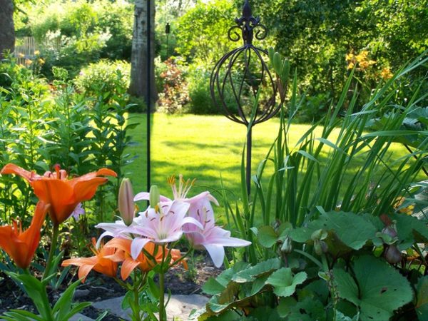 Lilien Garten bepflanzen Ideen Farben Rasen