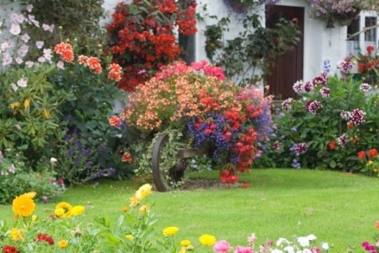 Schubkarre Blumentopf kreative Ideen idyllische Gärten
