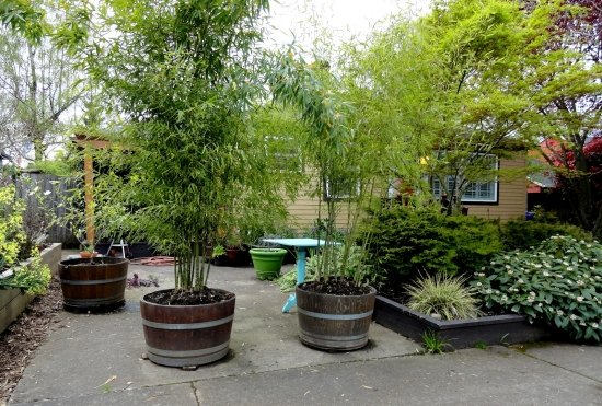 Sichtschutz Bambus für Garten Terrasse-Pflanzentöpfe