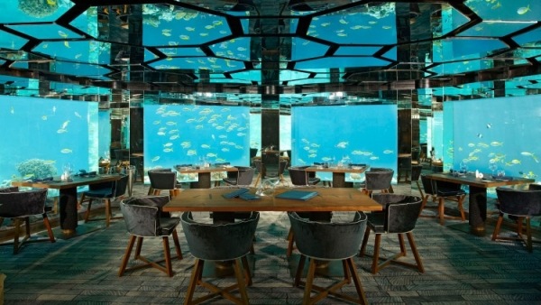 Unterwasser Restaurant-Anantara Kihavah Resort Malediven