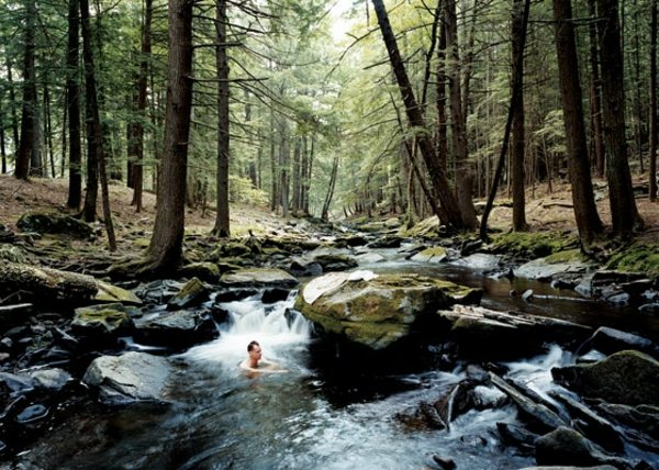 Urlaub Wald Ideen Hütte Fluss schwimmen Natur Steine Bäume