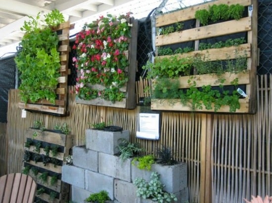 Vertikale Gärten Holzpalette-Projekt Selber bauen Anleitung