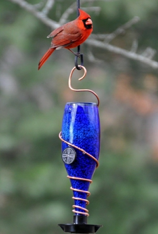 Vogel Futter alte blaue Weinflasche Frühling Garten