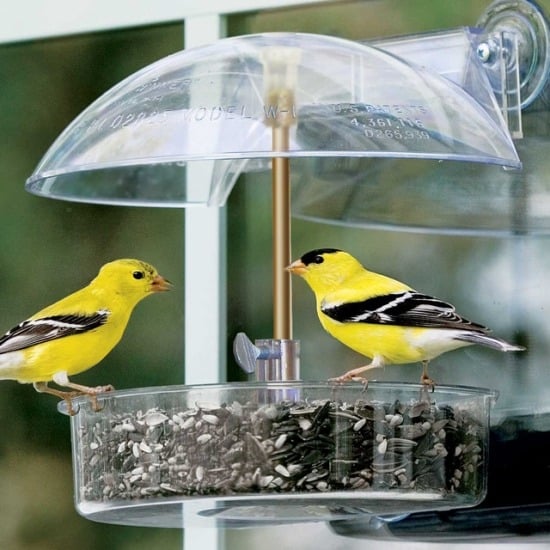 Vögel in den Garten anlocken-Design Futterhäuschen Vögel