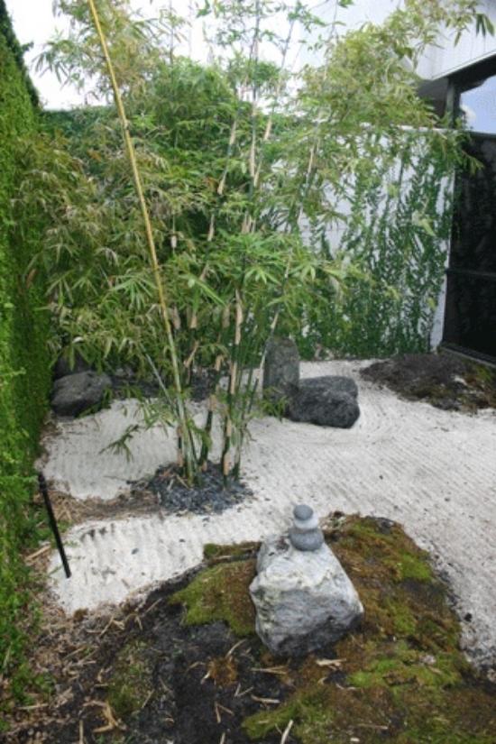 bambus pflanzen ideen gartengestaltung für zen garten