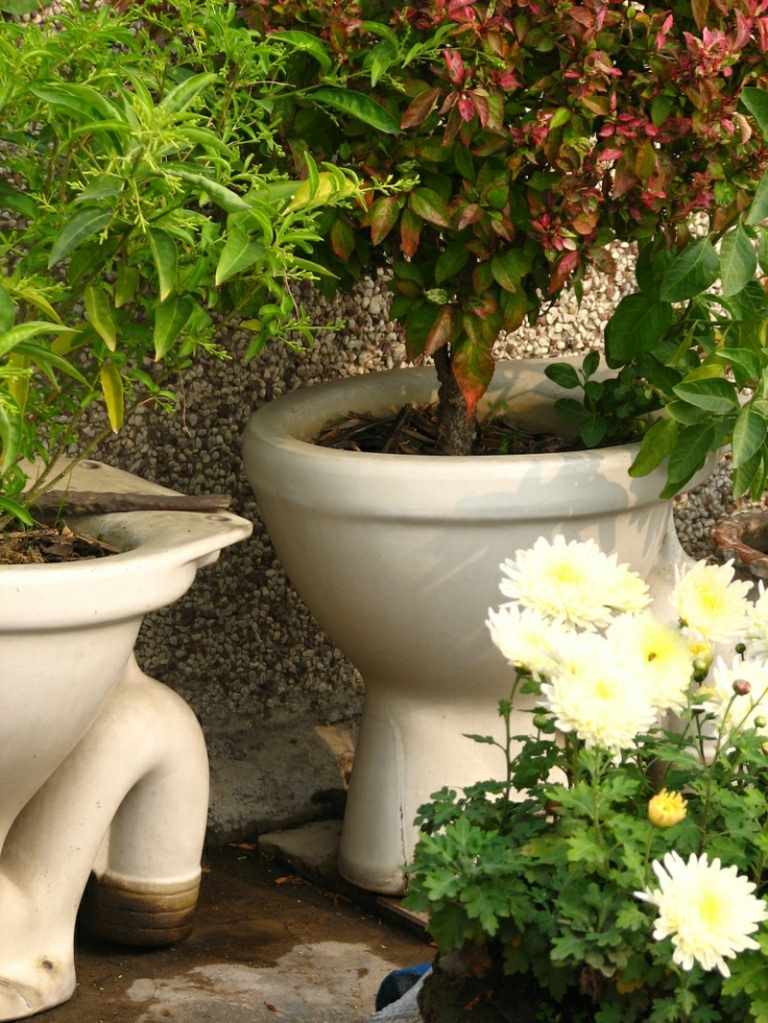 blumentöpfe zum selbermachen outdoor toilette idee baeumchen