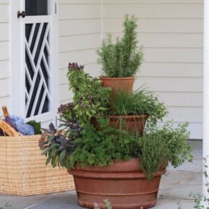 Garten und Terrasse