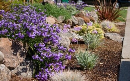 diverse-blumenarten-gartenhof-gestalten-mit-auswertung