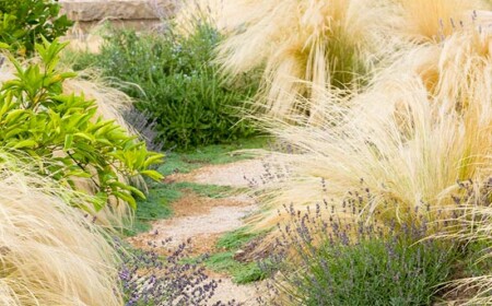 ideen-für-elemente-der-gartengestaltung-diverse-pflanzenarten