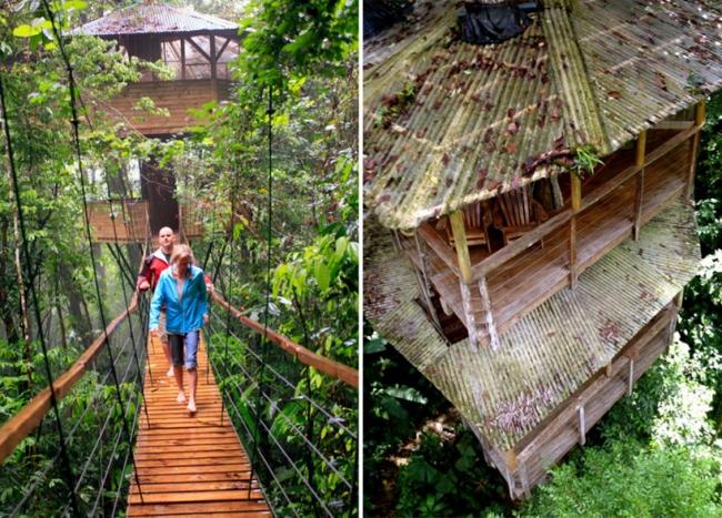 Baumhaus Komplex Costa-Rica Regenwald-Seil Brücken Verbindung