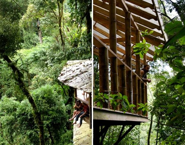 Baumhaus bauen Architektur Lösungen-im Wald nachhaltig