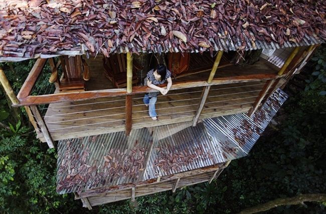 Übernachtung im Baumhaus bauen Costa Ricanischer-Dschungel