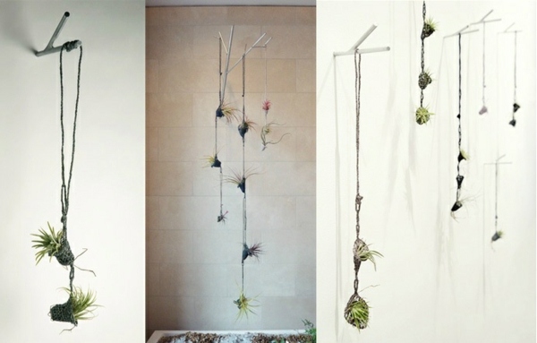 Blumentöpfe zuhause hängend Baumzweige rustikale Idee