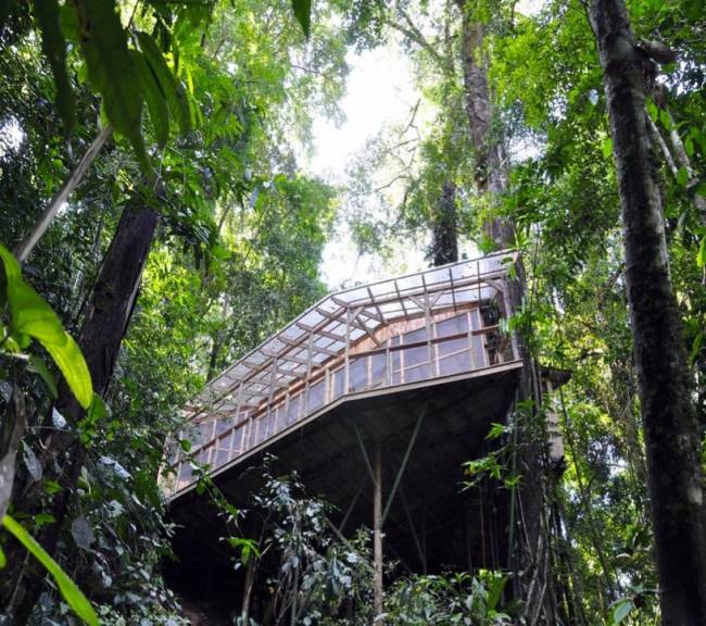 Haus im Wald-bauen klimatisieren passiv