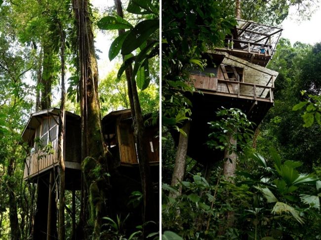 Holz Baum Haus-auf Stelzen-im-Wald Costa Rica Dschungel