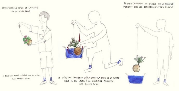 Kokedama Gras Bonsai-züchten Tipps zum Aufhängen