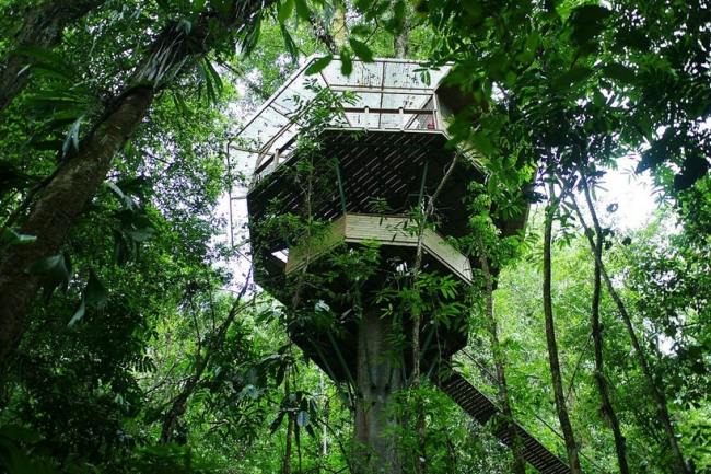 Modernes Baumhaus-über Treppe-erreichbar Costa Rica