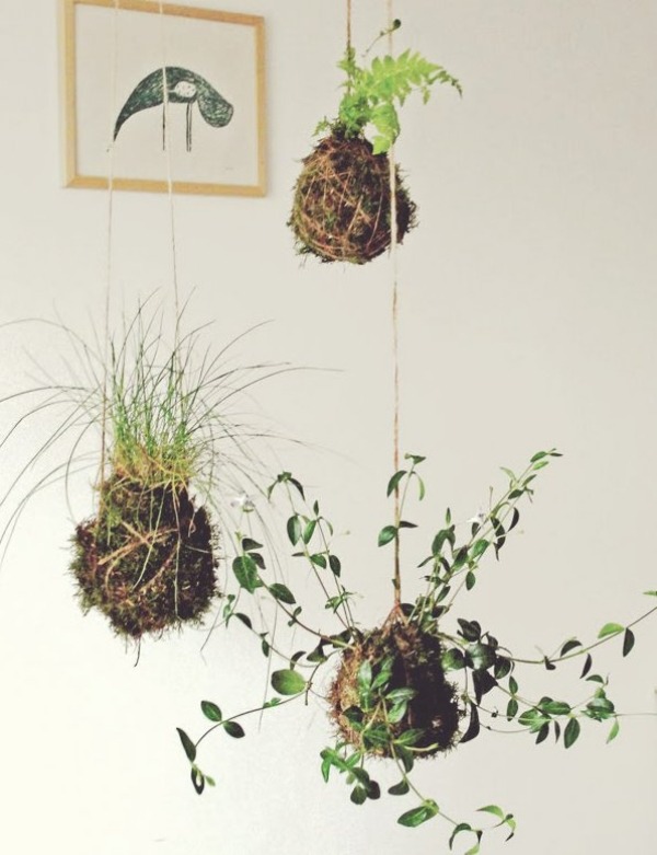 Moosbälle aufhängen Dekoration Indoor-Garten ideen